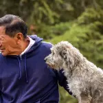 Cani guida in piazza a Milano: autonomia e fiducia per le persone ipovedenti