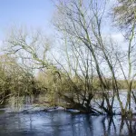 Blevio e Torno, primi fondi dalla Regione per fronteggiare i danni