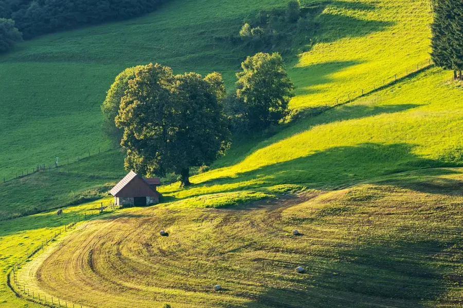 Lombardia, il 28 settembre le campagne diventano scuole all’aperto