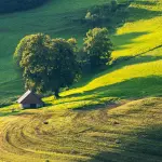 Lombardia, il 28 settembre le campagne diventano scuole all’aperto