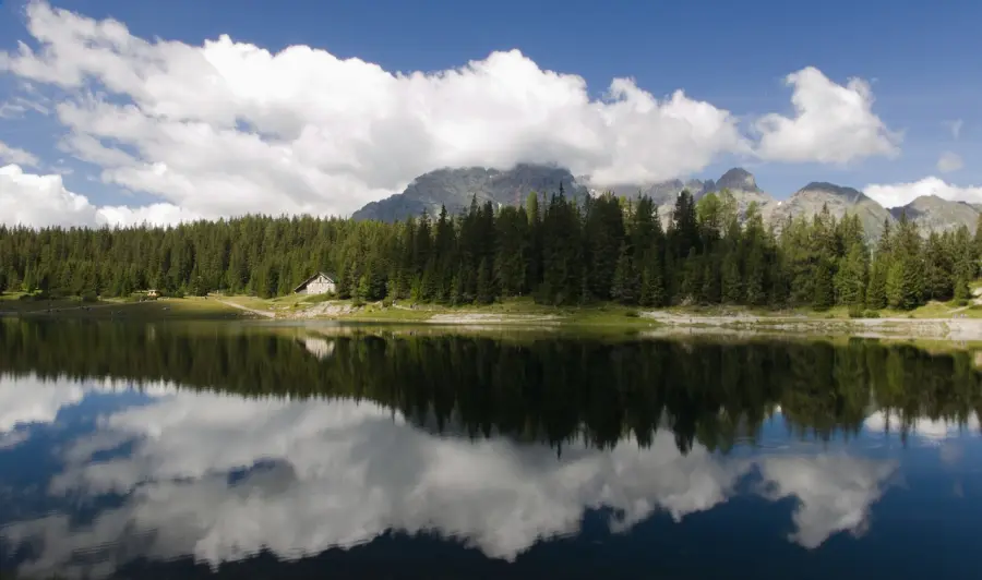 Cinquant’anni di Parco del Ticino: una mostra che restituisce il cuore della sua storia