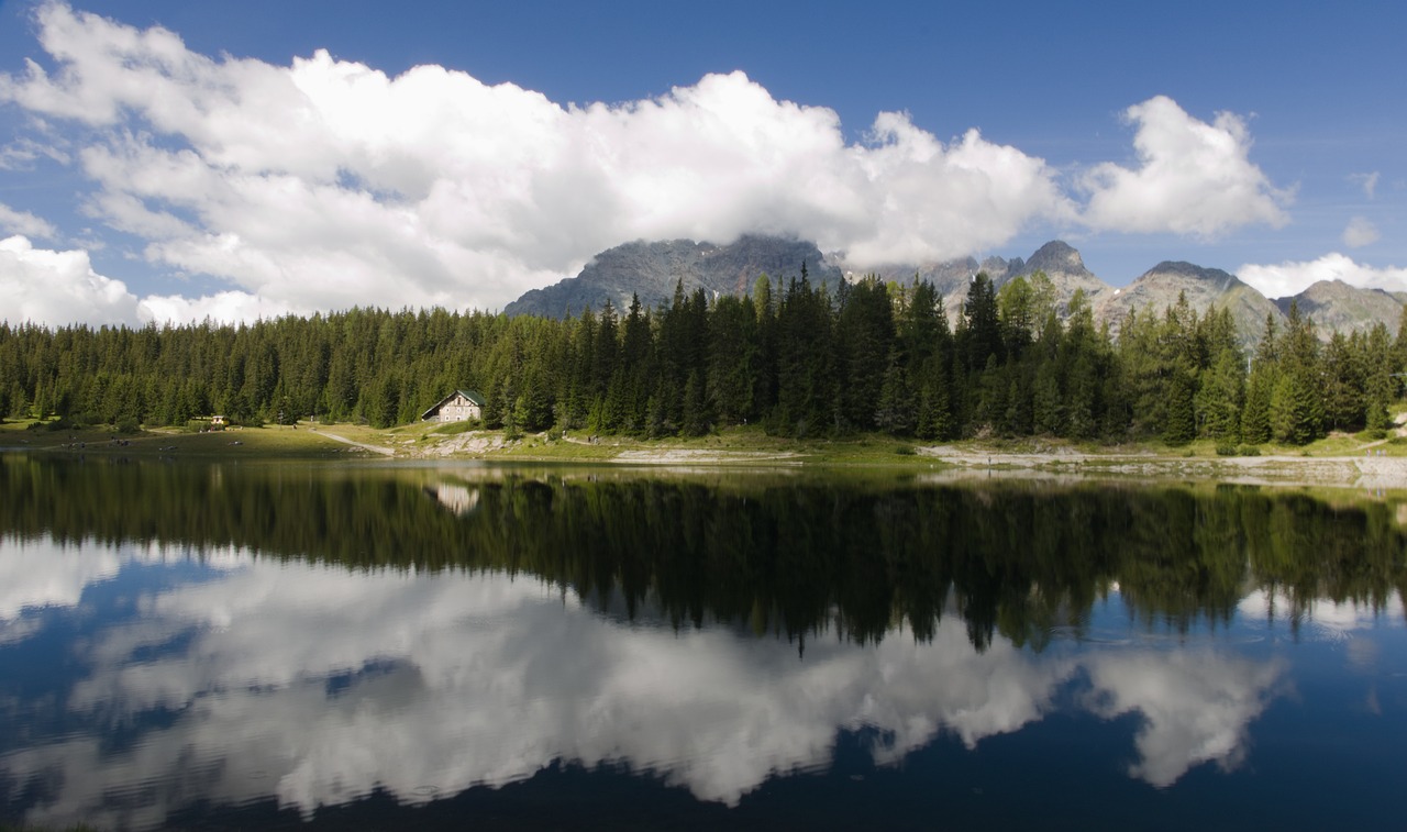 Cinquant’anni di Parco del Ticino: una mostra che restituisce il cuore della sua storia