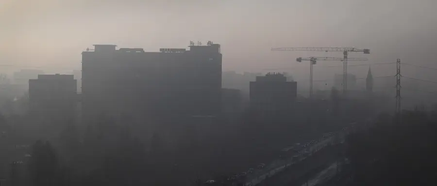 Smog da allevamenti nella Bassa lombarda: PM2.5 alle stelle