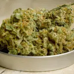 Spaccio di droga a Milano: arrestato 27enne dalla Polizia di Stato in zona Porta Genova