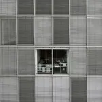 La Statale Mentoring, seconda edizione: sei mesi per mettere a fuoco il lavoro che verrà