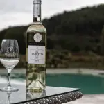 Vino falso, sequestrati 2,5 milioni di litri: operazione contro le contraffazioni Dop e Igp