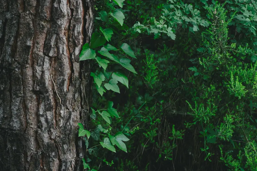 EcoHackathon 2026, a Milano vincono le idee dei giovani per una sostenibilità concreta