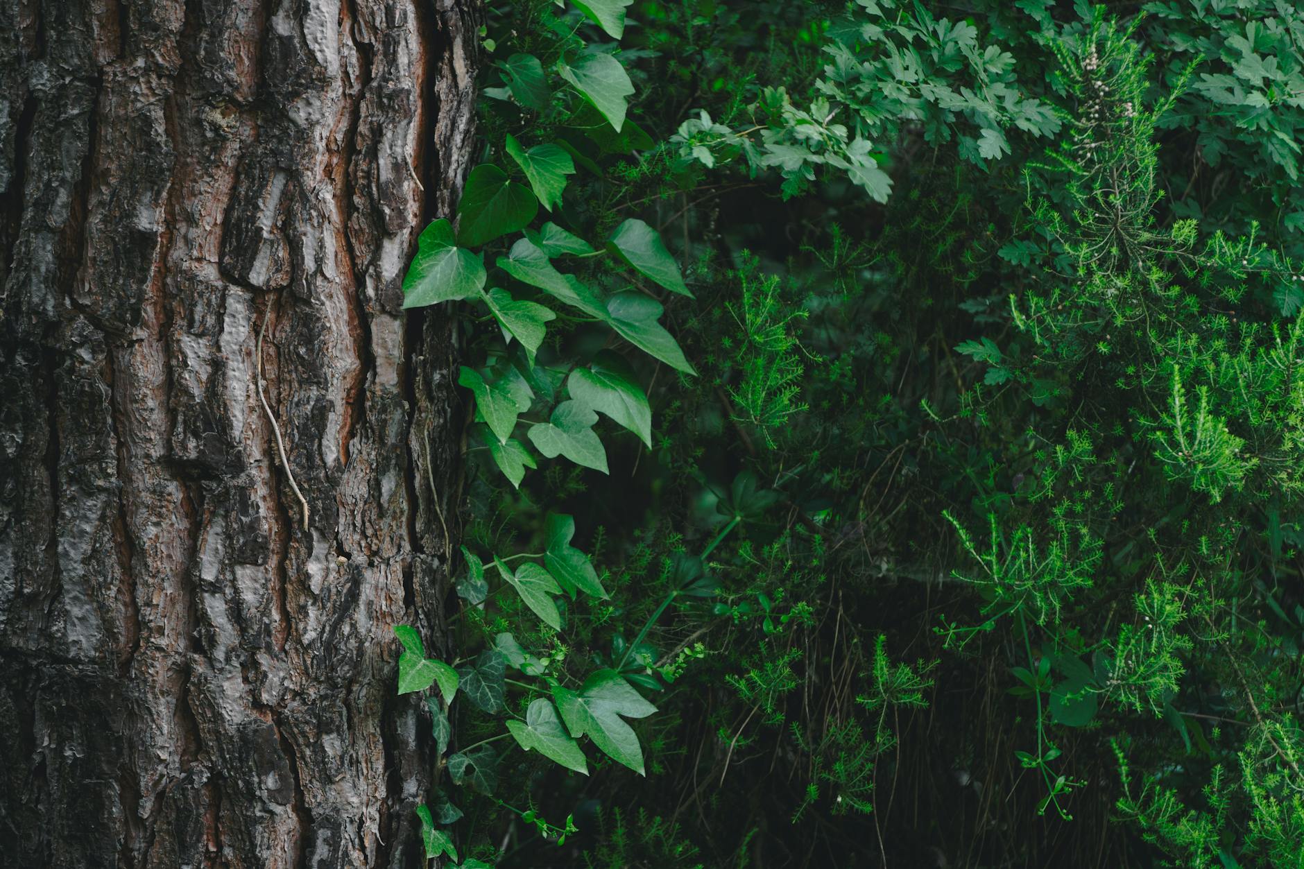 EcoHackathon 2026, a Milano vincono le idee dei giovani per una sostenibilità concreta