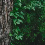 EcoHackathon 2026, a Milano vincono le idee dei giovani per una sostenibilità concreta
