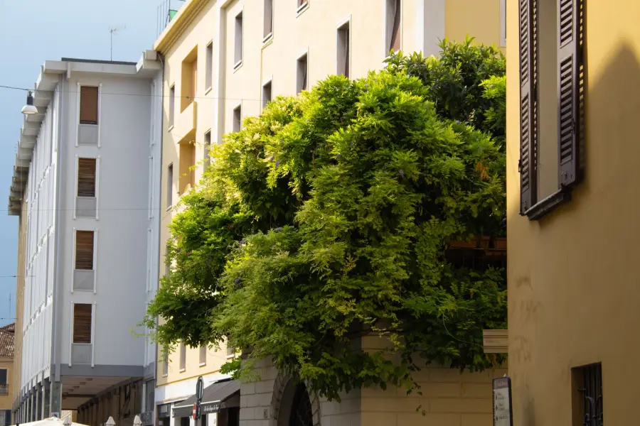 Milano città-spugna, 27 nuove aree per togliere asfalto