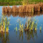 Lombardia, Water Resilience per acqua e biodiversità
