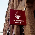 Milano, il Questore sospende per sette giorni la licenza di un cannabis shop in via Medici