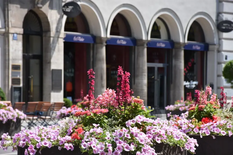 Milano, riaperte via Pellico e Cattaneo: installate 58 fioriere