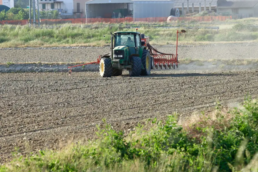 Milano, apre il Mercato Agricolo del Verziere in largo Augusto